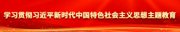 操屄影院学习贯彻习近平新时代中国特色社会主义思想主题教育